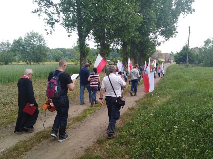 Marsz Niepodległości św. Maksymiliana