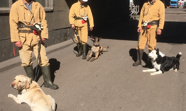 Psy pomagają znaleźć zaginionego górnika