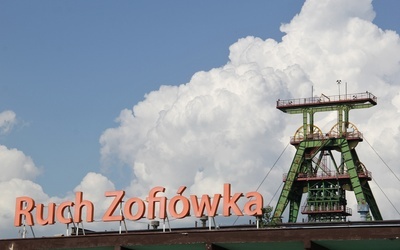 "Zofiówka": zalewisko znika