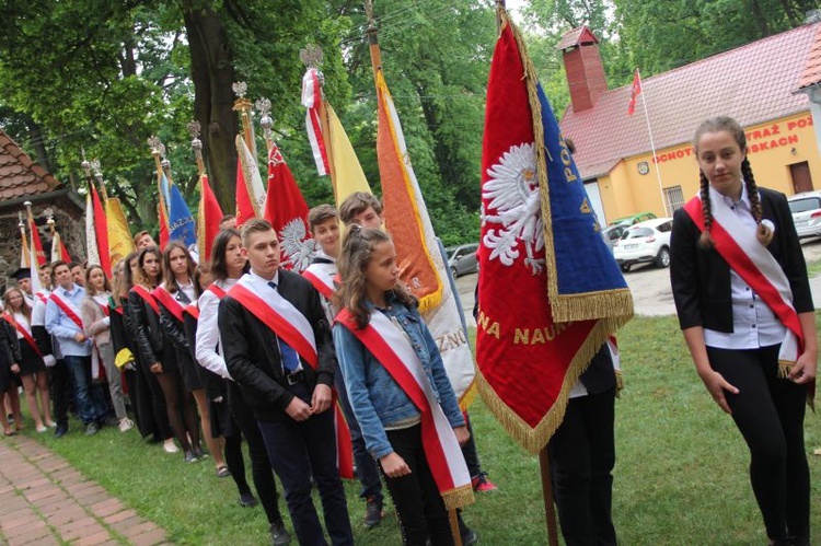 Diecezjalny Zjazd Rodziny Szkół im. Jana Pawła II w Niwiskach