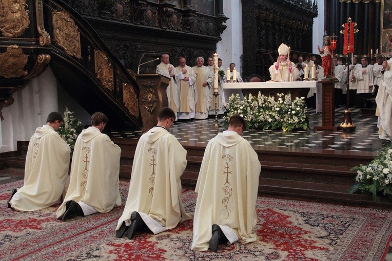 Święcenia kapłańskie TDŚ