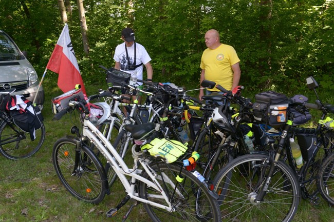 Święto niezapominajki w Jedlni-Letnisku