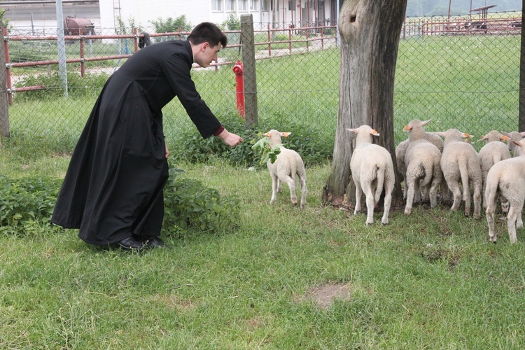 Pasterze posłani do owiec 