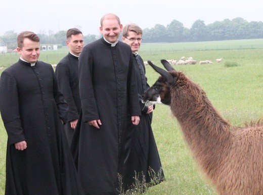 Pasterze posłani do owiec 