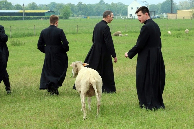 Pasterze posłani do owiec 