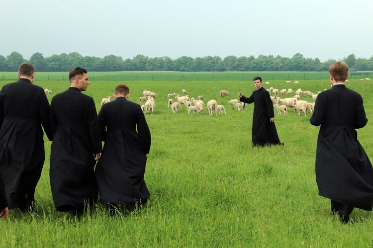 Pasterze posłani do owiec 