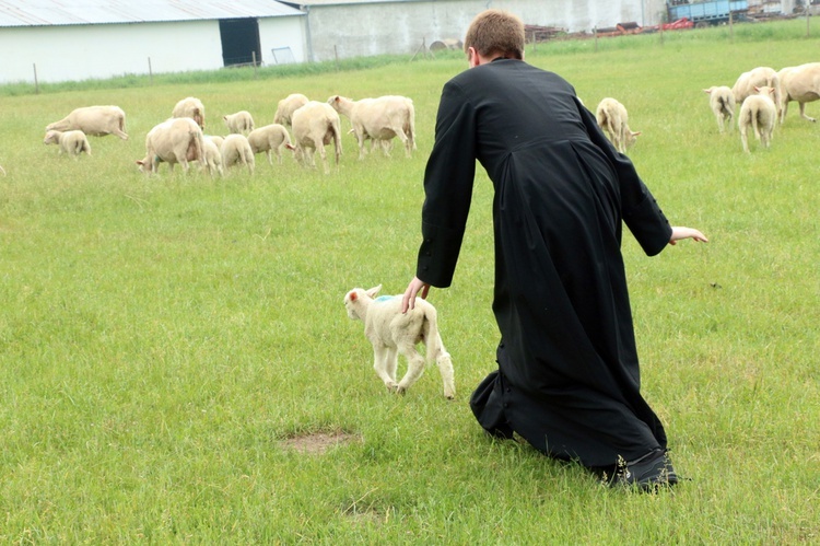 Pasterze posłani do owiec 