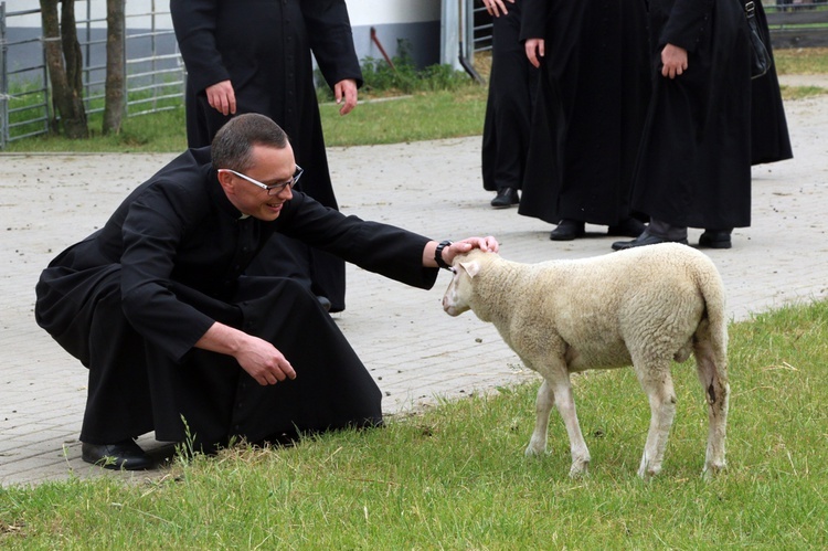 Pasterze posłani do owiec 