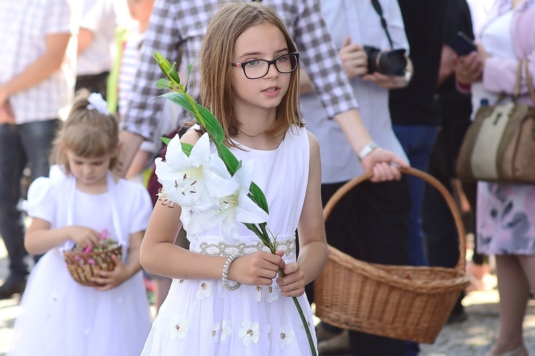 Uroczystość Nawiedzenia NMP w Świętej Lipce