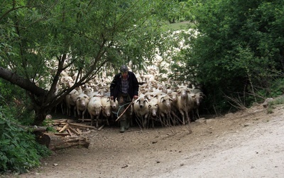 "Barka" w Beskidzie Niskim