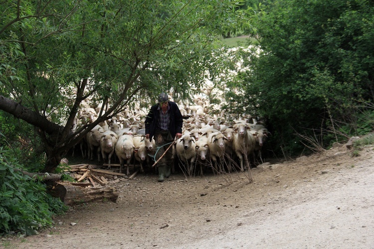 "Barka" w Beskidzie Niskim