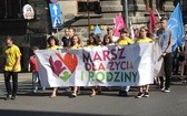 5. Marsz dla Życia i Rodziny w Bielsku-Białej 2018 - na trasie