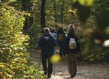 Formacja proponowana przez instytut odbywa się nie tylko  w salach wykładowych.