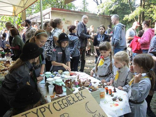 Majówka harcerska z ZHR w Bielsku-Białej