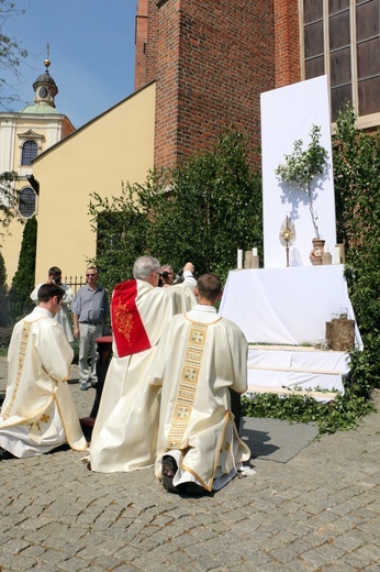 Procesje w Boże Ciało 2018 w archidiecezji wrocławskiej