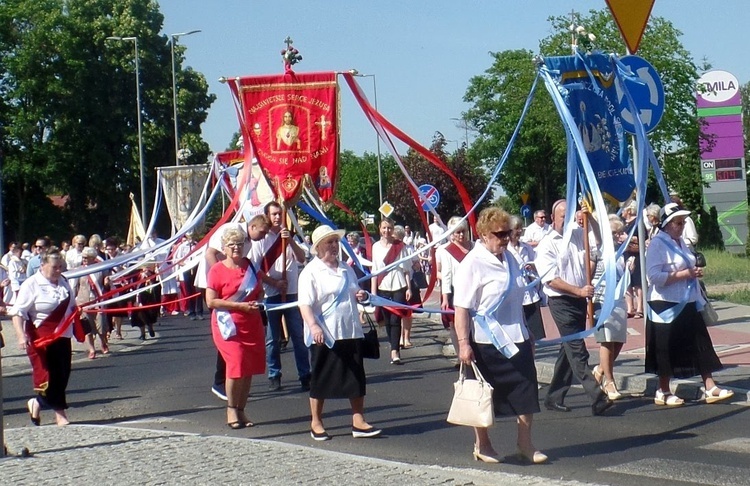 Miejska procesja Bożego Ciała w Głogowie