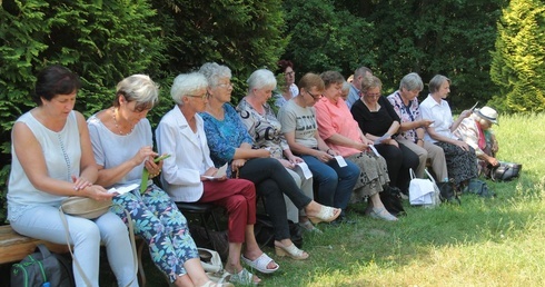 Pielgrzymka czcicieli Matki Bożej Pielgrzymującej na Górę Chełmską