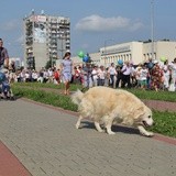 Marsz dla Życia i Rodziny w Jastrzębiu