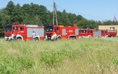 Ćwiczenia w gaszeniu pożaru lasu 