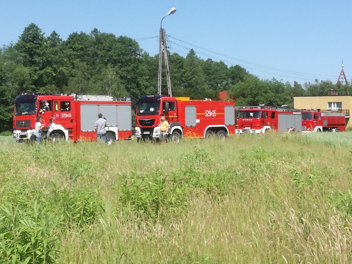 Ćwiczenia w gaszeniu pożaru lasu 