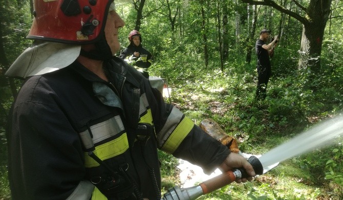 Ćwiczenia w gaszeniu pożaru lasu [ZDJĘCIA]