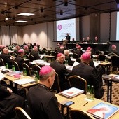 Wybory 379. Zebrania Plenarnego Konferencji Episkopatu Polski