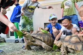 Wieczór marzeń