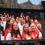 Strefa Widza festiwalu piosenki