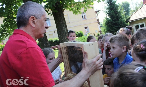 Dzieci mogły zobaczyć fragment ula