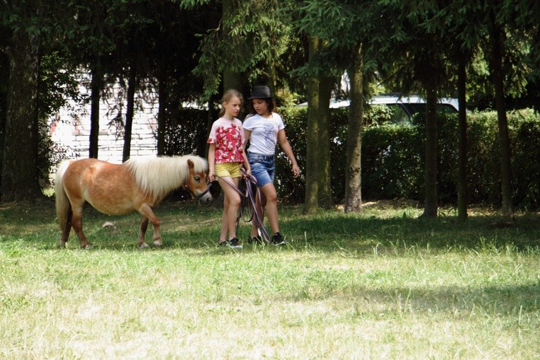 Piknik "Jesteśmy rodziną" 2018