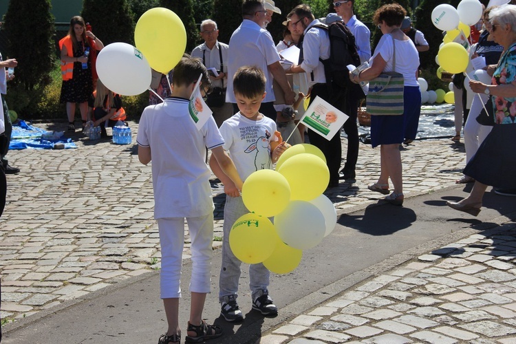 Marsz dla Życia i Rodziny 2018