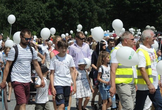 2. Marsz dla Życia i Rodziny w Żywcu - 2018