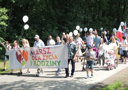 2. Marsz dla Życia i Rodziny w Żywcu - 2018
