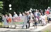 2. Marsz dla Życia i Rodziny w Żywcu - 2018