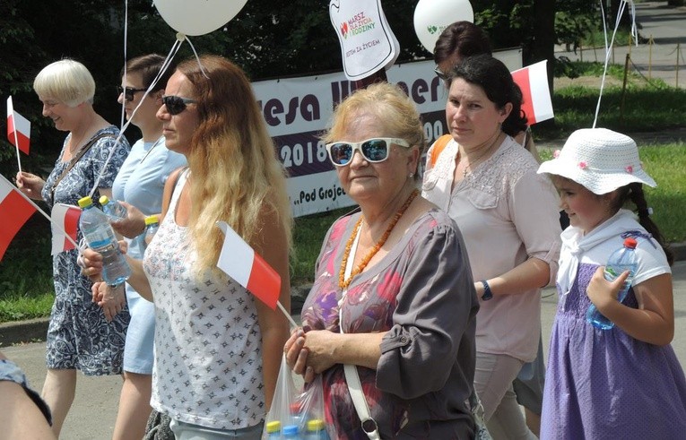 2. Marsz dla Życia i Rodziny w Żywcu - 2018