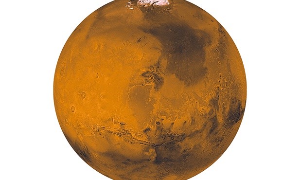 Mars, zwany Czerwoną Planetą, jest bardzo podobny do Ziemi. Czy istnieje na nim jakaś forma życia?