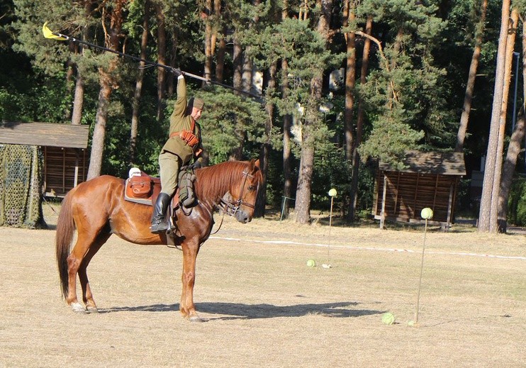 Ślubowanie w Rogozińcu