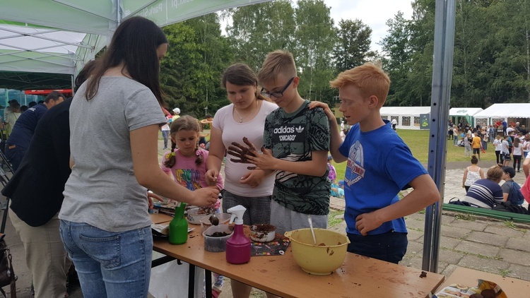 Rozstrzygnięcie konkursu na "Zielone pracownie" na Śląsku