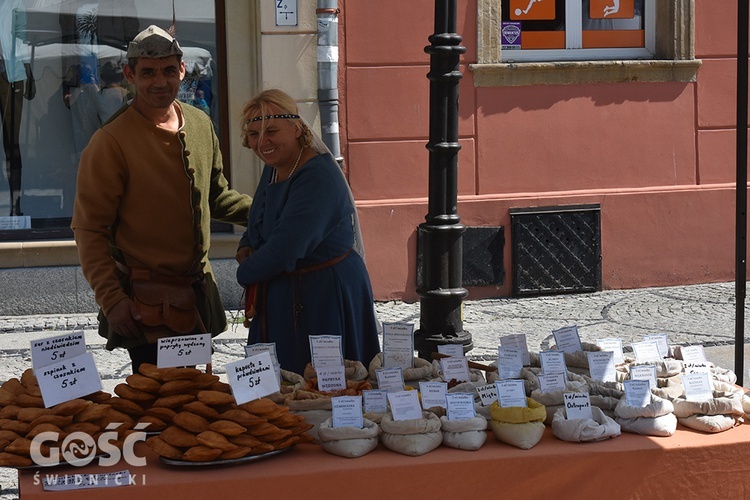 Obchody 650. rocznicy śmierci Bolka II Świdnickiego