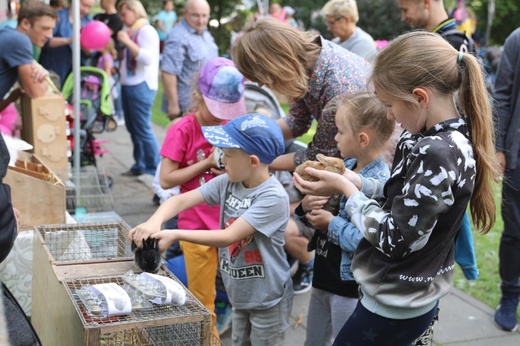 Piknik rodzinny u salezjanów w Oświęcimiu - 2018