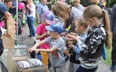 Piknik rodzinny u salezjanów w Oświęcimiu - 2018