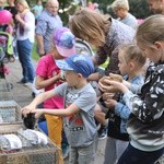 Piknik rodzinny u salezjanów w Oświęcimiu - 2018