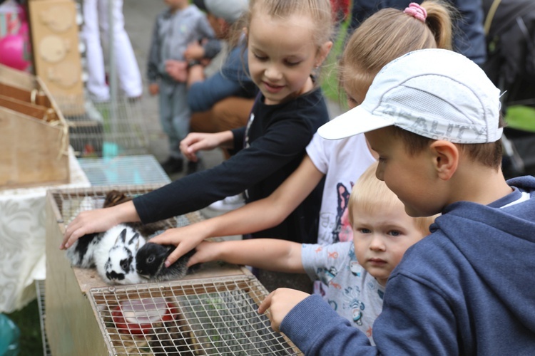 Piknik rodzinny u salezjanów w Oświęcimiu - 2018