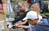 Piknik rodzinny u salezjanów w Oświęcimiu - 2018