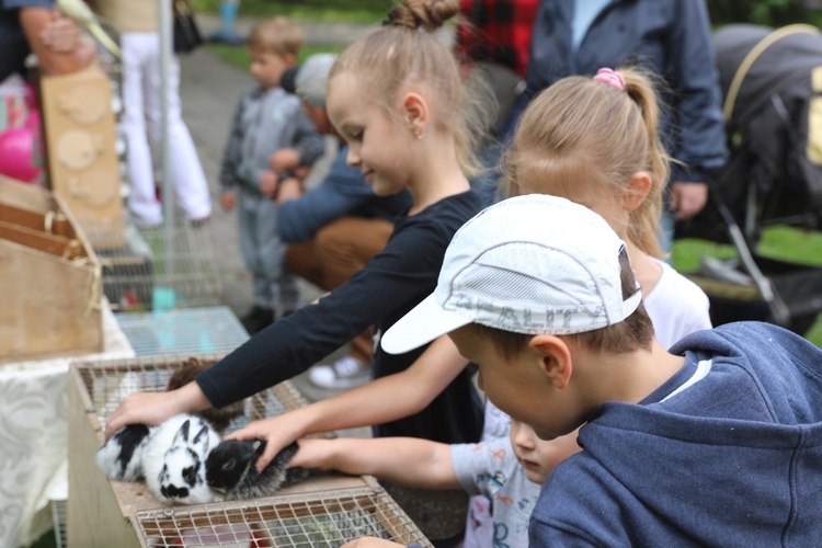 Piknik rodzinny u salezjanów w Oświęcimiu - 2018