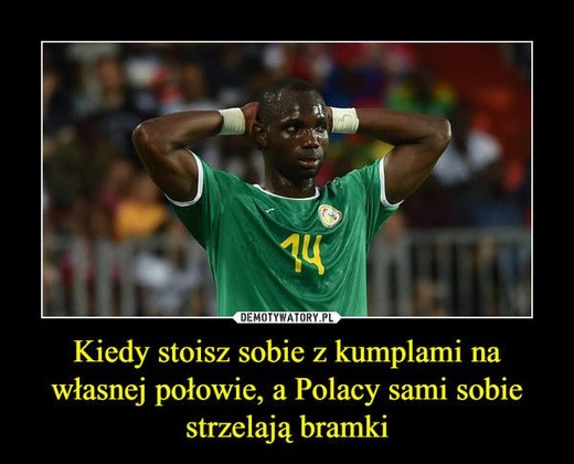 Memy po meczu Polska - Senegal