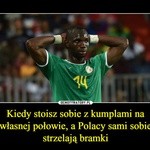 Memy po meczu Polska - Senegal