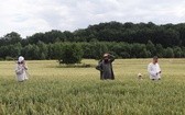 Rekonstrukcja historyczna w Starych Tarnowicach