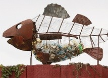 Ryba z brzuchem pełnym śmieci stojąca w fokarium Stacji Morskiej Instytutu Oceanografii Uniwersytetu Gdańskiego to symbol zanieczyszczenia Bałtyku.