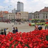 Stolica Śląska nocą bez alkoholu